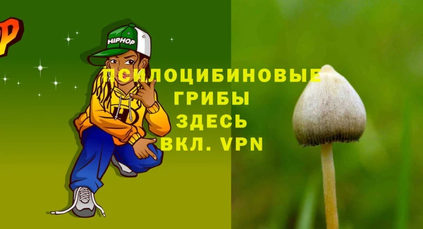 крисы Арсеньев