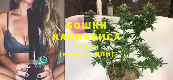 индика Аркадак