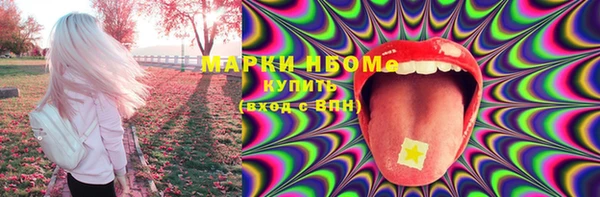 индика Аркадак