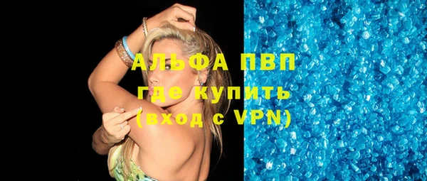 индика Аркадак