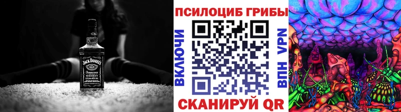 дарнет шоп  кракен вход  Псилоцибиновые грибы Cubensis  Шали 